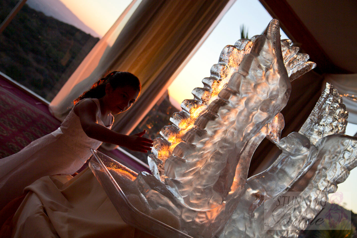 IMAGE: http://www.sfvphoto.com/escobar/content/images/large/_MG_1565.jpg