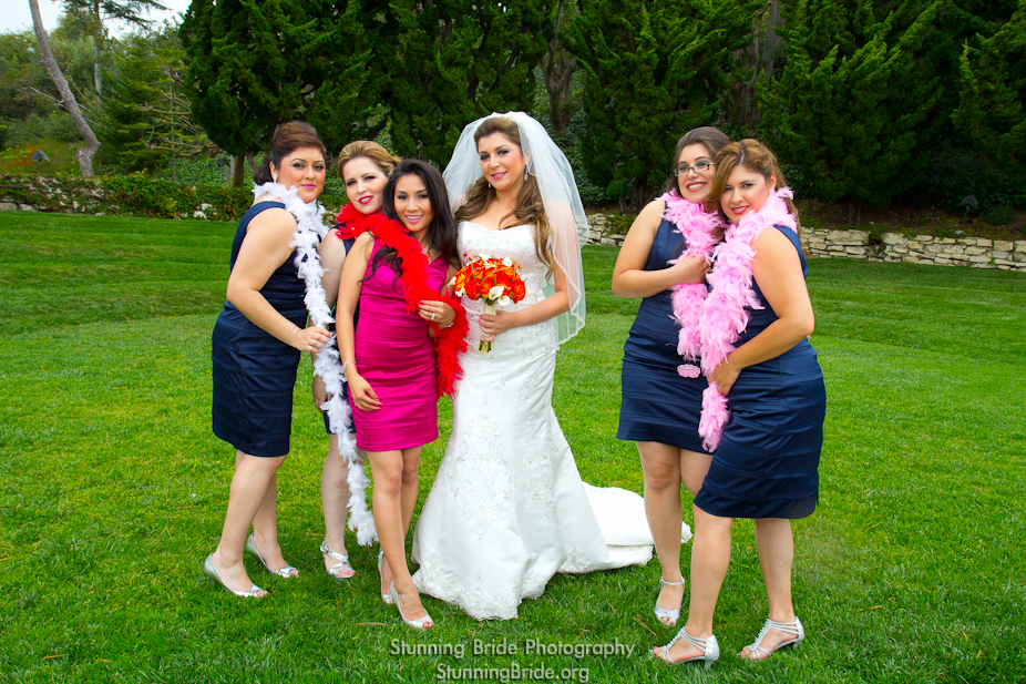 IMAGE: http://www.sfvphoto.com/hernandez/content/images/large/IMG_2100.jpg