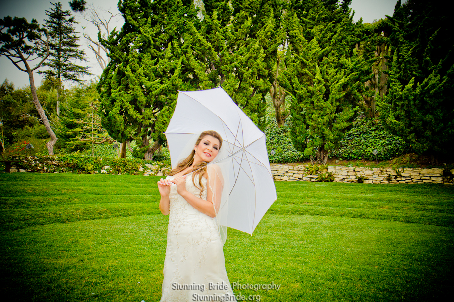 IMAGE: http://www.sfvphoto.com/hernandez/content/images/large/IMG_2114.jpg