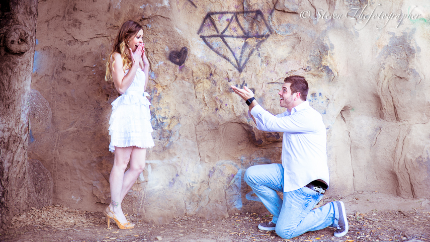 IMAGE: http://www.sfvphoto.com/koshgarian/content/images/large/5D3_3856.jpg